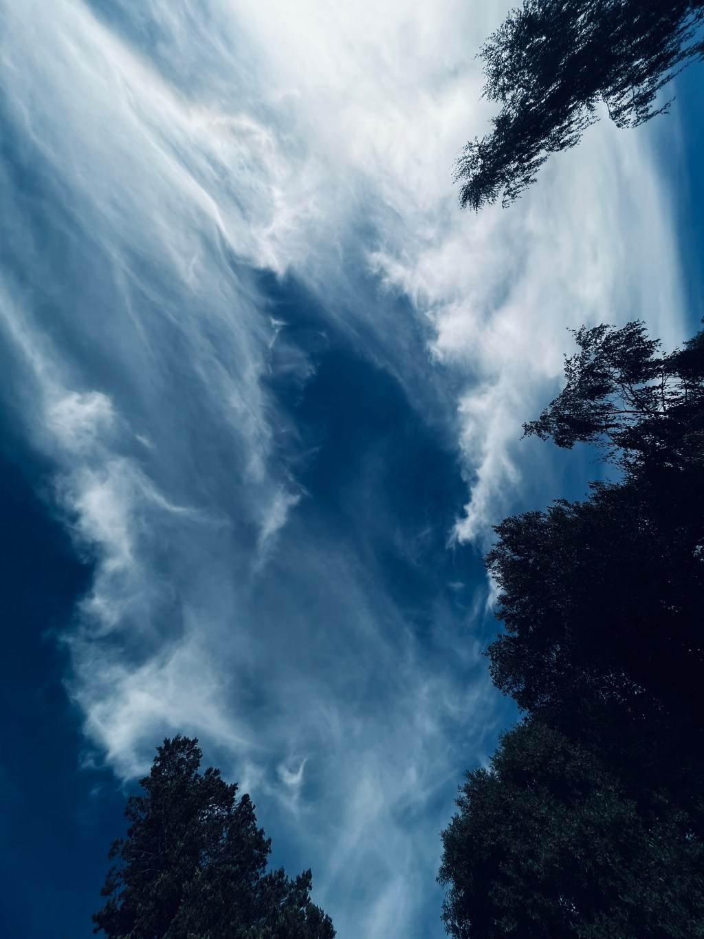 Lecciones para no perseguir los&nbsp;sueños